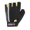 CLASSIC SERIES YELLOW